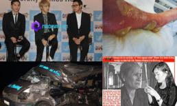 Những bức ảnh "đắt giá" nhất 24h qua (24/10)