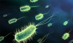 Tìm hiểu về những thứ “kinh dị” trong cơ thể người