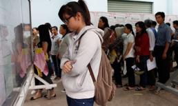 Ra trường thất nghiệp… đi bán cám cò