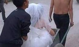 Ảnh vui: Trả về nơi sản xuất