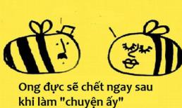 Fun facts: Con trai dành 145 ngày trong cuộc đời để cạo râu