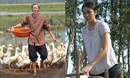 Mỹ nhân, tài tử Việt hóa “hai lúa”