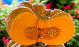 7 tác dụng nổi bật của hạt bí ngô