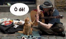 Cười té ghế: Yêu đương là phù du, thầy u là vĩnh cửu