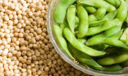 Thực phẩm hàng ngày cho phụ nữ