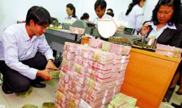 Bài học từ doanh nghiệp chết yểu