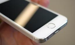 2014 sẽ là năm 'phóng to' của Apple?