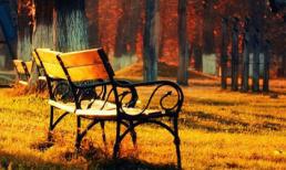 Đắm mình trong những không gian ngập tràn sắc thu