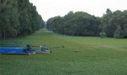 Sức quyến rũ của mùa nước nổi