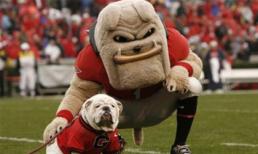 Phì cười với những cổ động viên hài hước