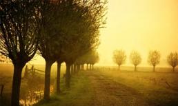 Thứ ba của bạn (12/11)