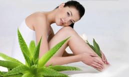 Cây cảnh cũng có tác dụng làm đẹp