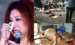 Những bức ảnh "đắt giá" nhất 24h qua (19/11)