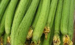 Tác dụng chữa bệnh không ngờ của quả mướp