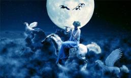 Thứ Tư của bạn (20/11)