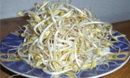 Giá đỗ ủ thuốc: ăn 2 tạ rưỡi 1 ngày mới độc?!