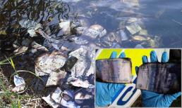 Phát hiện 60 ngàn bảng Anh trôi nổi trên sông