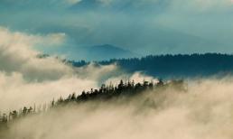 Vẻ đẹp hoang dại của dãy núi Great Smoky