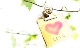 Thứ Năm của bạn (21/11)