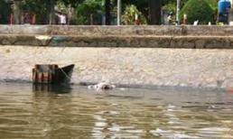 Xác chết có nhiều hình xăm trên sông Sài Gòn