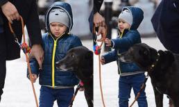 Flynn nhăn nhó khi bố dạy dắt cún dạo phố