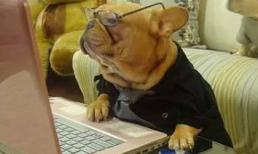 'Ngã ngửa' với chùm ảnh chế cực vui về động vật (P.4)