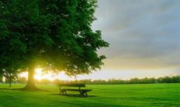 Thứ Ba của bạn (26/11)