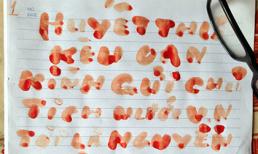 Tử tù dùng tăm thêu đơn: Huyết thư kêu oan của người cha