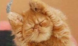 Thể dục thể thao, nâng cao sức khỏe