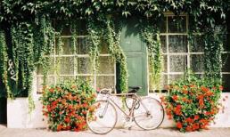 Chủ nhật của bạn (3/11)