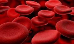 Thuốc điều trị bệnh thiếu máu