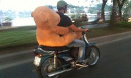 Trào lưu "dân FA" rộ mốt đèo gấu bông đi chơi