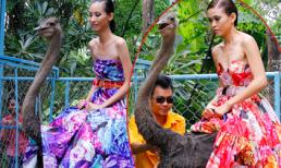 Dàn thí sinh Next Top "méo mặt" vì cưỡi đà điểu