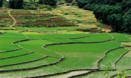 Lũng Vân, nóc nhà xứ Mường