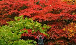 Vẻ đẹp mùa thu 2013 trên khắp thế giới