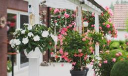 Thứ tư của bạn (6/11)