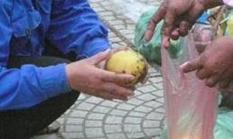 Trái cây “siêu rẻ” – hiểm họa khôn lường