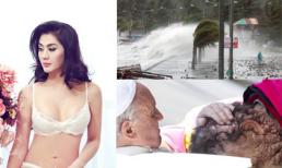 Những bức ảnh "đắt giá" nhất 24h qua (08/11)