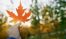 Thứ sáu của bạn (8/11)