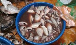 Bún cá: món khoái khẩu làm từ cá ươn, cá thối