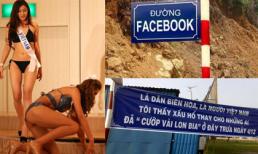 Những bức ảnh 'đắt giá' nhất 24h qua (10/12)