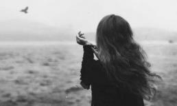 Có lẽ cuộc sống là sự kiếm tìm, lưu giữ và lãng quên