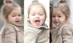 Harper "hớn hở" bên bố Becks "buồn thiu"