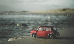 Thứ Tư của bạn (11/12)