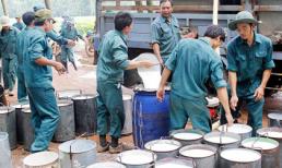 Cao su Đồng Phú: Giá cao su tiếp tục sụt giảm, 11 tháng lãi gộp trên 300 tỷ đồng