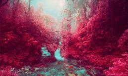 Toàn cảnh về dãy núi màu đỏ tuyệt đẹp tại Nepal