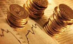 Market Vector ETF: Loại PVX, thêm 1 cổ phiếu nước ngoài