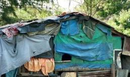 Úc: Kinh hoàng gia đình 40 người quan hệ loạn luân