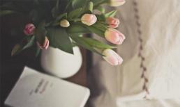 Thứ Bảy của bạn (14/12)