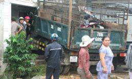 Lao thẳng vào nhà, xe tải đâm trọng thương người nằm võng